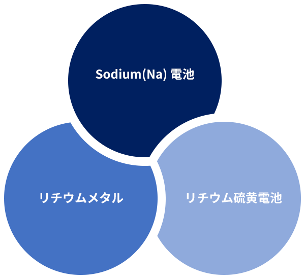 차세대전지,유기금속회수(광산및염호),전기전자,생활,이차전지